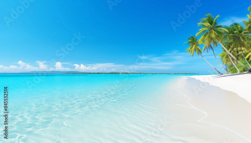 A beautiful beach with palm trees and a clear blue ocean