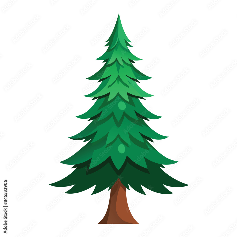 fir tree white background fir tree white background