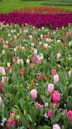 Flower garden