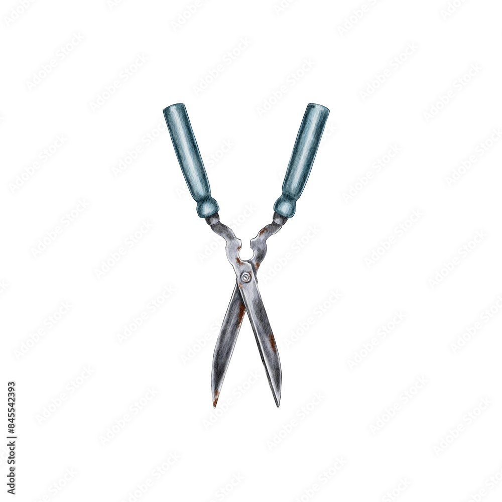 Garden tools, rusty blue scissors, gardening, home hobbies, watercolor illustration isolated element on white background Garden tools, rusty blue scissors, gardening, home hobbies, watercolor illustration isolated element on white background