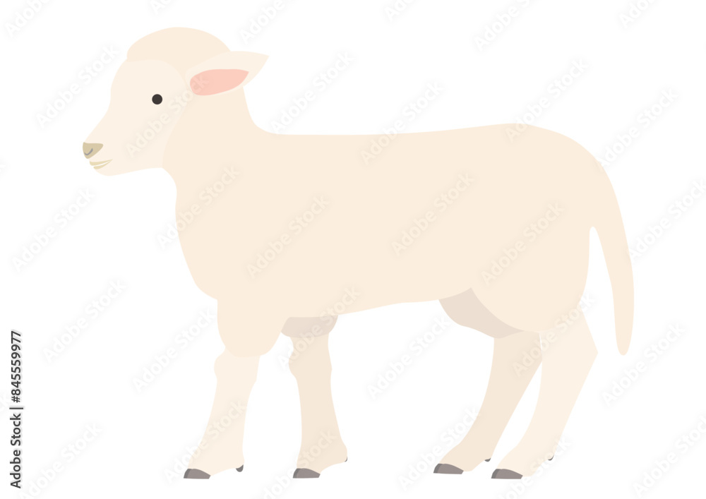 Clip art of lamb seen from the side Clip art of lamb seen from the side