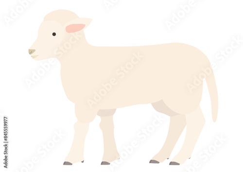 Clip art of lamb seen from the side