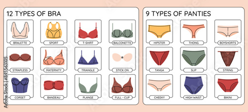 Types of colorful womans underwear infographics. Vector bra and pants collection.