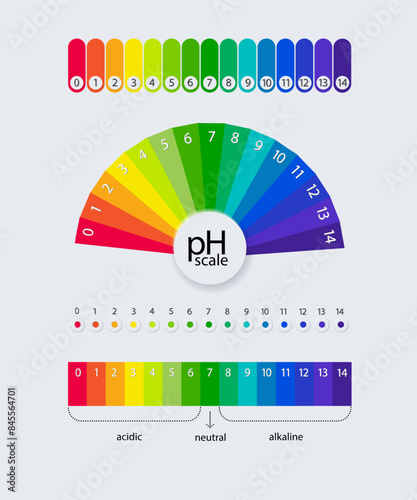 pH scale chart for acid and alkaline solutions. Acid-base balance infographic. Vector