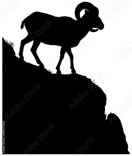 silhouette of a big horn sheep on a cliff, isolated 