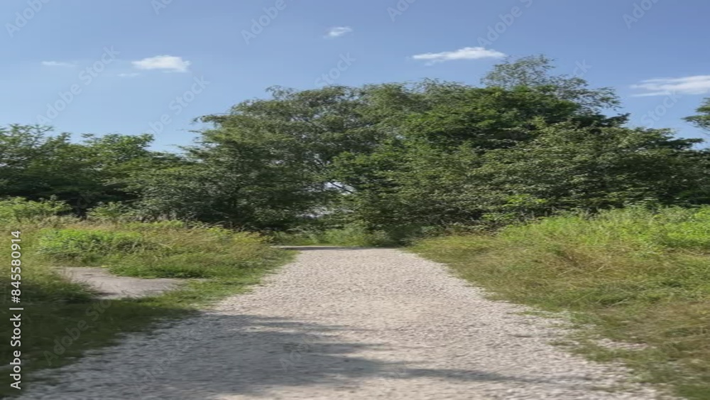 Walking in first person. Vertical video of a walk in the Skałki Twardowskiego park, Krakow, Poland. Walk along a sandy road among the trees Walking in first person. Vertical video of a walk in the Skałki Twardowskiego park, Krakow, Poland. Walk along a sandy road among the trees