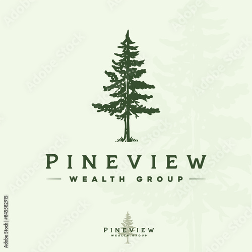 Hand drawn vintage retro evergreen forest pine cedar spruce cypress hemlock tree logo design vector