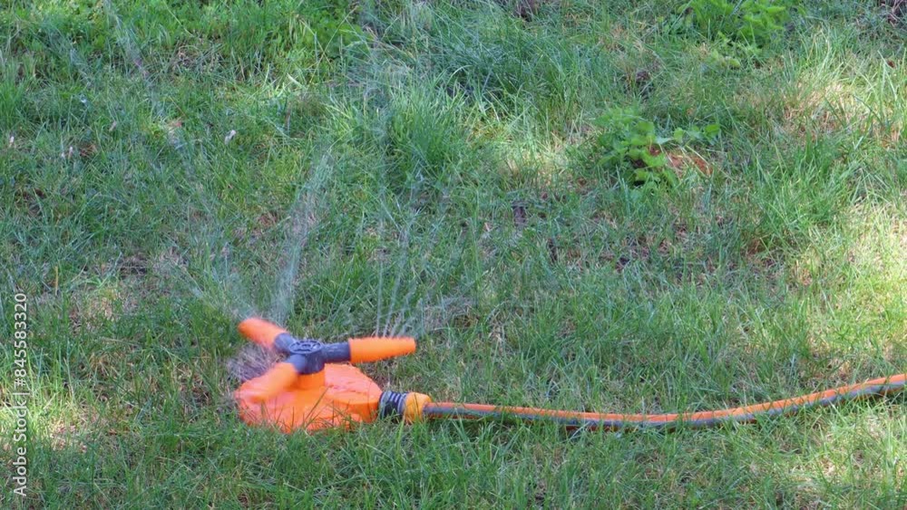Sunny day in the garden as an orange sprinkler waters the lawn Sunny day in the garden as an orange sprinkler waters the lawn