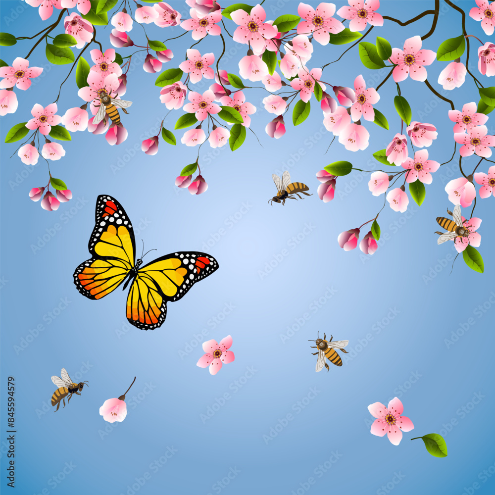 Bees and cherry blossoms in a postcard.Spring card with blooming cherry. Bees and cherry blossoms in a postcard.Spring card with blooming cherry.