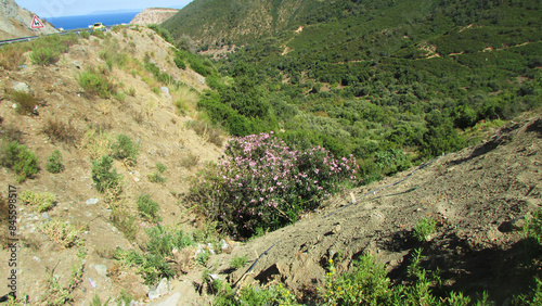 Collo, Skikda Province