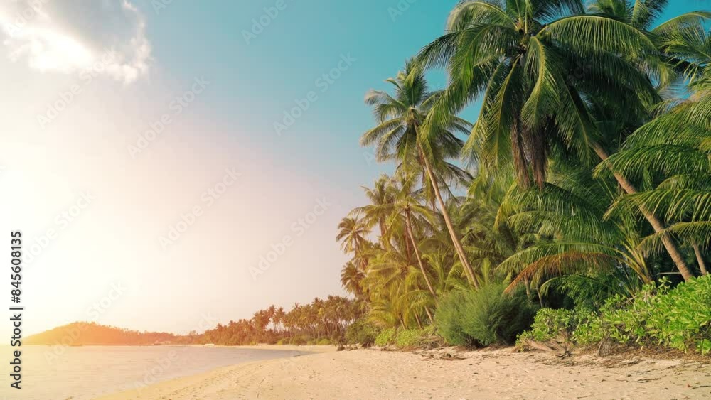 Palm trees, blue sea and pure natural landscape. Coconut tree with beautiful tropical beach on sunny day. Palm trees, blue sea and pure natural landscape. Coconut tree with beautiful tropical beach on sunny day.