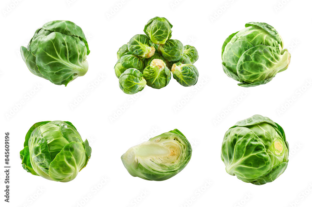 Fototapeta premium Brussels sprouts Collection Bundle Set Isolated on a Transparent Background