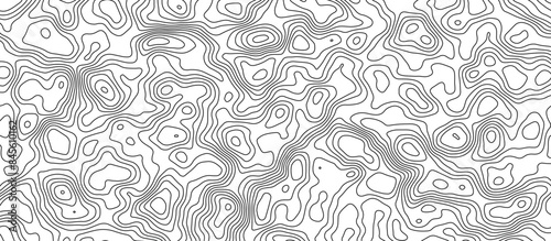 White topology and topography vector design abstract background contour map texture for print works