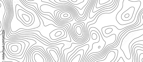 White topology and topography vector design abstract background contour map texture for print works
