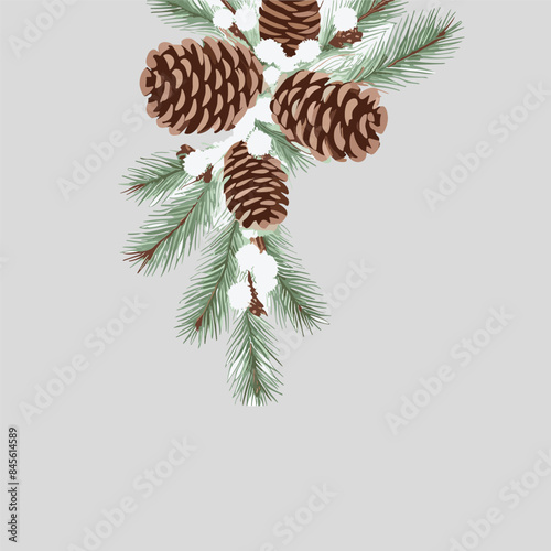 Vector collection of Christmas tree branches with pine cones.