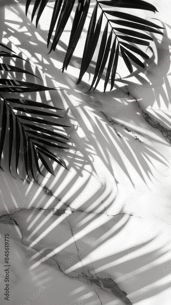 Palm leaf shadows on marble surface in black and white, artistic nature photography concept