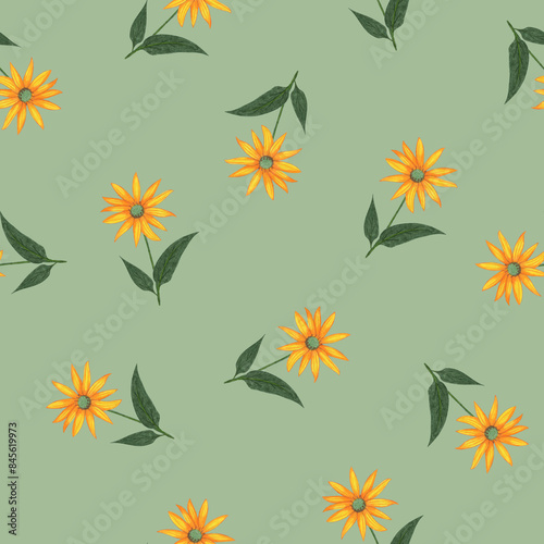 Topinambur Flower Seamless Pattern. Hand Drawn Floral Digital Paper on Light Green Background.