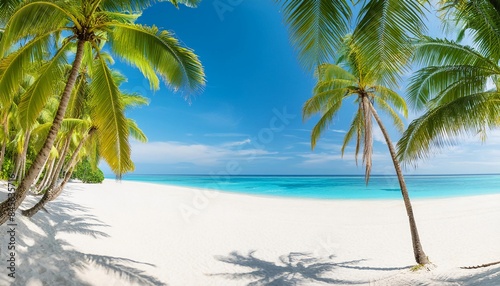 A beautiful beach with palm trees and a clear blue sky