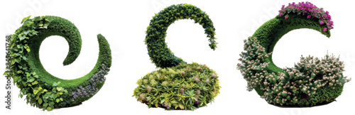 Garden topiaries with flowering accents, intricately shaped on a transparent background