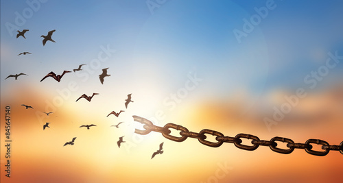 Foto Bird flying and broken chains at sky sunset background