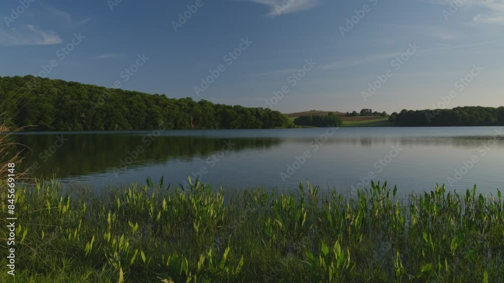 Horizontal moving image of a beautiful and relaxing lake. Plants by the lake and reflection of water in the evening light. Spring time background. 4k video Horizontal moving image of a beautiful and relaxing lake. Plants by the lake and reflection of water in the evening light. Spring time background. 4k video