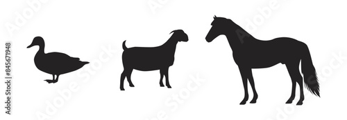 A set of farm animals vector isolated on a white background