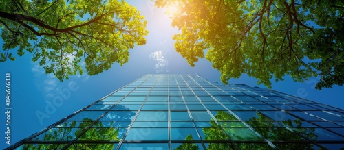 Low Angle View of a Glass Building With Trees Overcast by Sun