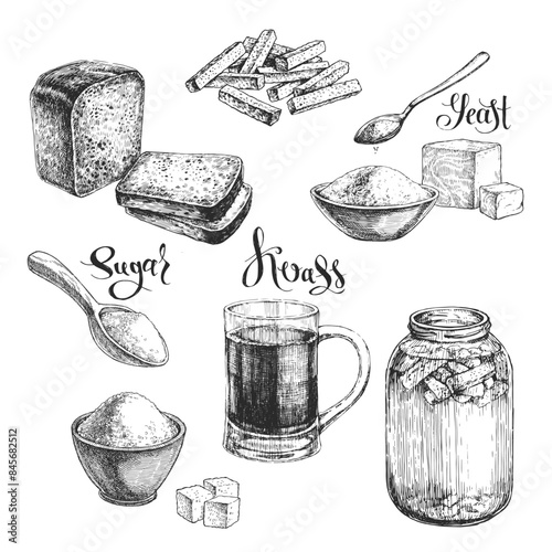 Vector hand-drawn set of illustrations of homemade fermentation of kvass in the style of an engraving. A sketch with the stages of the drink preparation process. Beverage recipe.