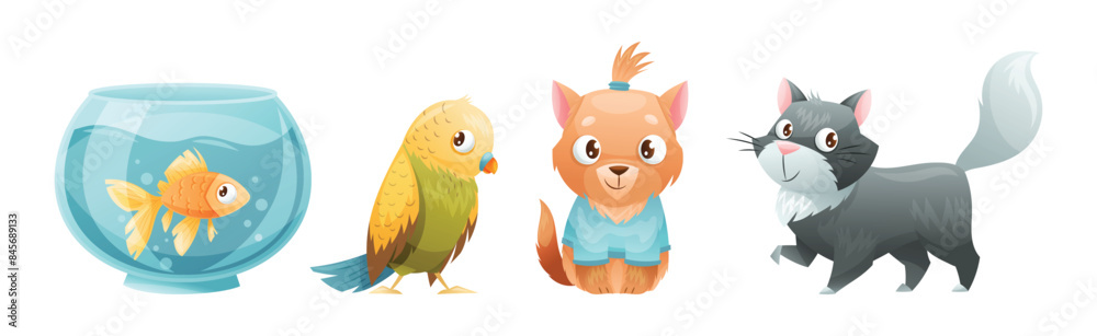 Fototapeta premium Cute Home Pet Animal with Fish, Cat, Parrot and Puppy Vector Set