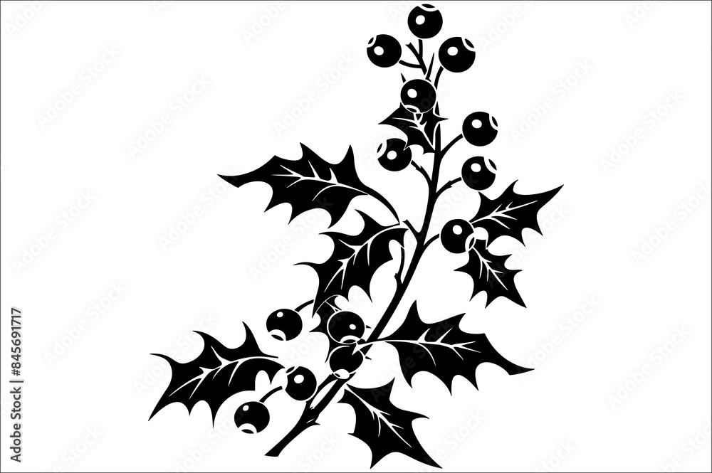 Naklejka premium Holly berry set vector silhouette illustration. Christmas holly leaves. Black silhouette of Holly berry.