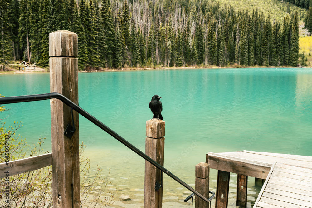 Obraz premium Emerald Lake in Kanada: Smaragdgrünes Wasser und majestätische Berge