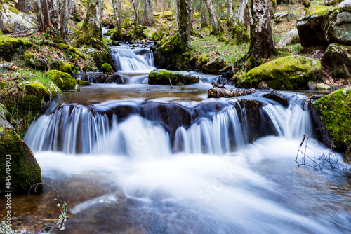 Cascadas en el arroyo