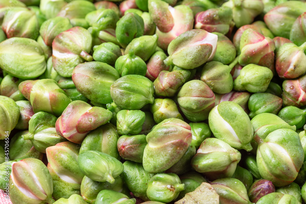 Close-up of caper buds ready to be prepared with salt Close-up of caper buds ready to be prepared with salt