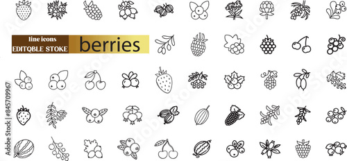 Berry and berries elements - minimal thin line web icon set.