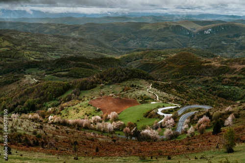 Curved Mountain Road Landscape in Golija Serbia photo