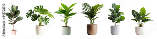 Indoor green plants png cut out element set