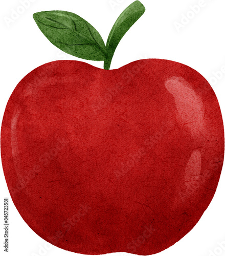 Red apple watercolor illustration