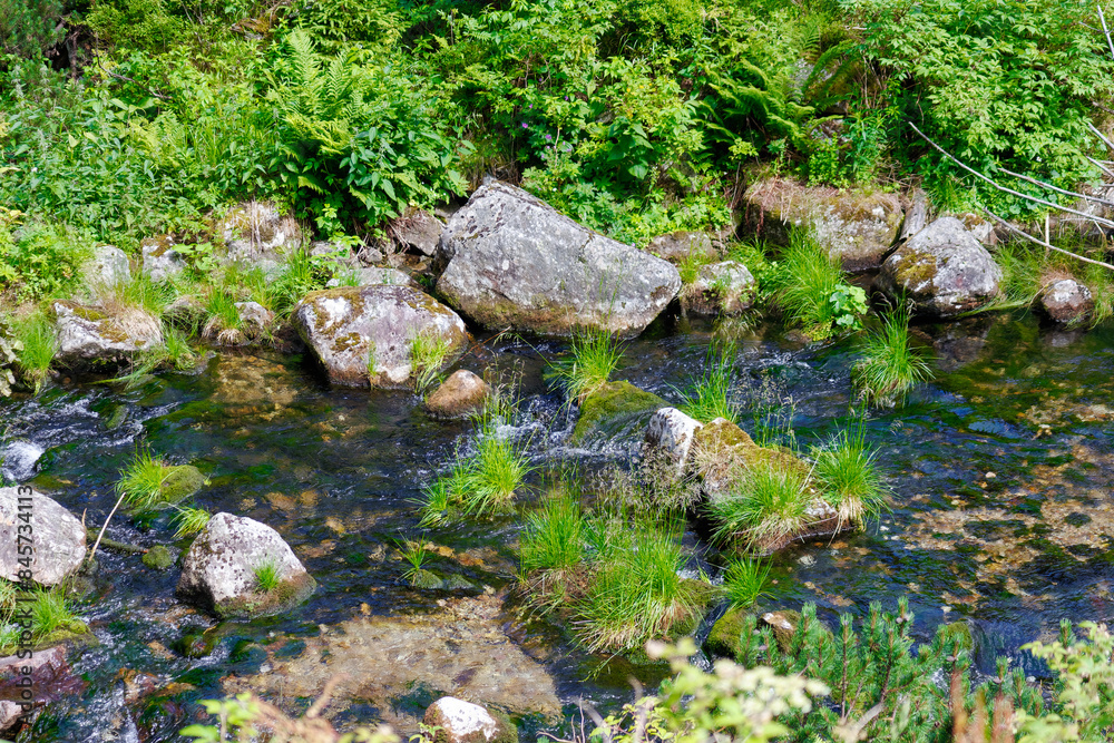 A mountain river in the mountains on a summer sunny day. A mountain river in the mountains on a summer sunny day.