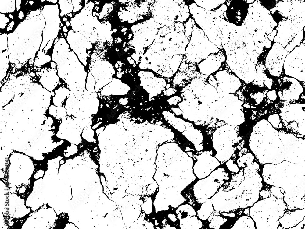 Naklejka premium Black and White Marble Stone Vector Texture