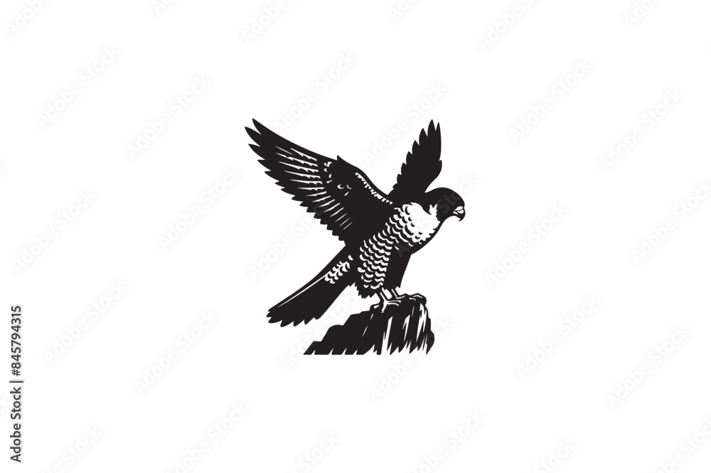 Fototapeta premium Peregrine Falcon silhouette vector style with white background4