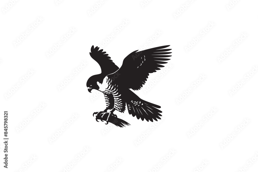 Fototapeta premium Peregrine Falcon silhouette vector style with white background8