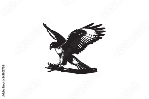 Red-tailed Hawk silhouette vector style with white background1.