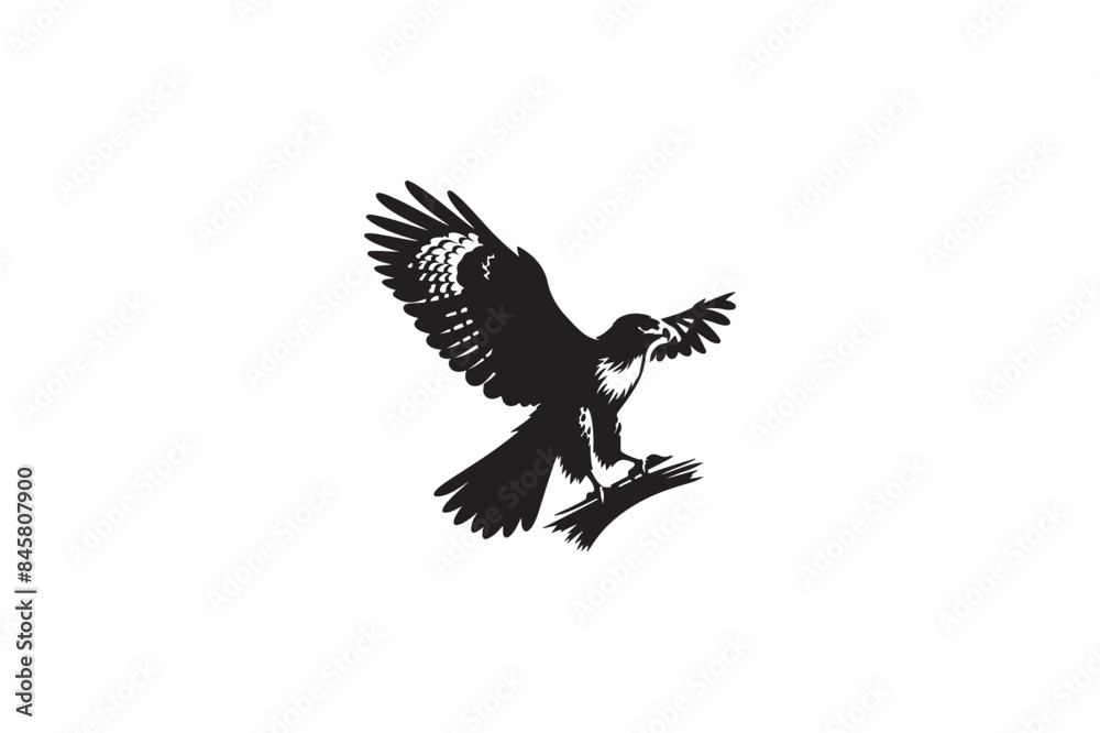 Fototapeta premium Red-tailed Hawk silhouette vector style
