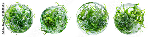 Set of Replenishing Bubbles With Seaweed Extract Isolated on Transparent PNG Background. Generative ai