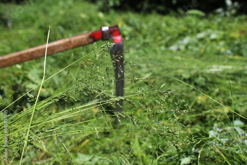 Hand scythe on the background of green grass. The tradition of mowing grass on a green meadow. Agricultural machinery. Preparation of fodder for livestock. photo