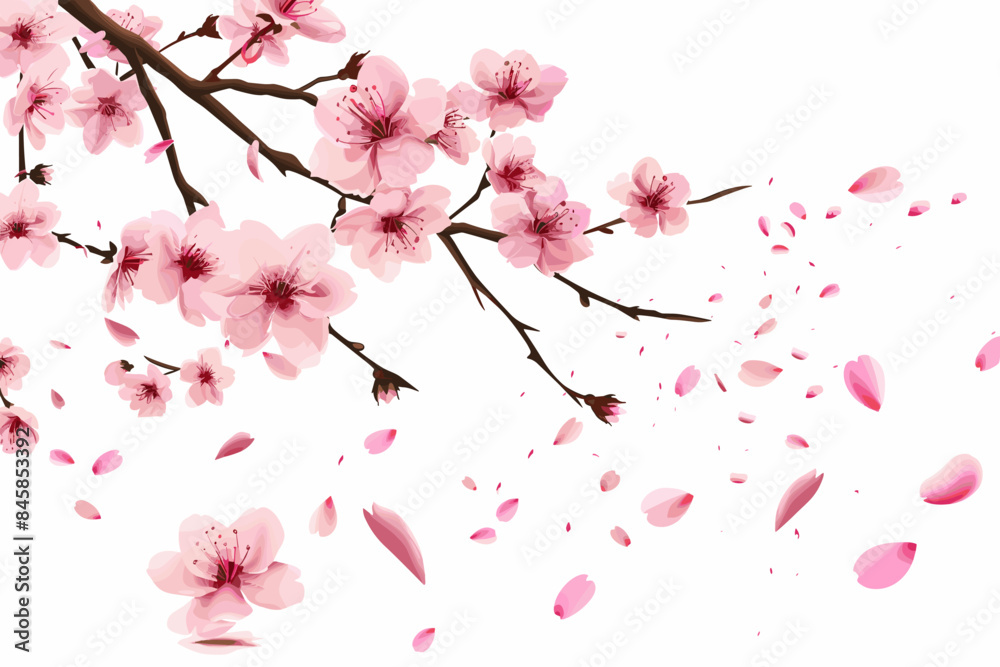 Background of cherry blossoms in full bloom with falling pink petals vector illustration on white background Background of cherry blossoms in full bloom with falling pink petals vector illustration on white background