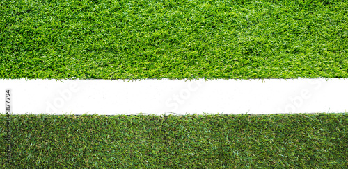 Meadow green grass surface. Turf blank top view background isolated on white. Template or Banner for gardening shop or online shopping, environmental concept
