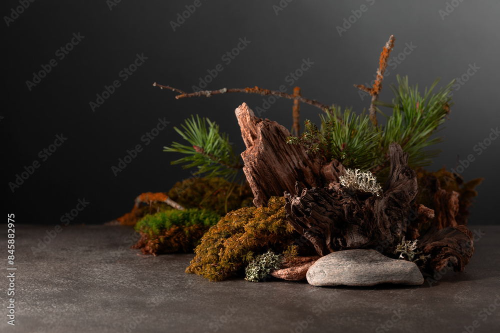 Northern natural composition with lichen, moss, pine branches and driftwood. Northern natural composition with lichen, moss, pine branches and driftwood.