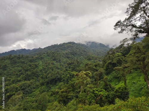 Cloud forest in Costa Rica