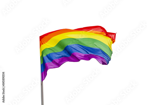 Rainbow LGBT Pride flag cut out
